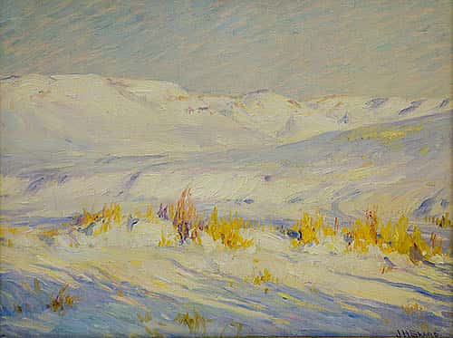 Winter Landscape